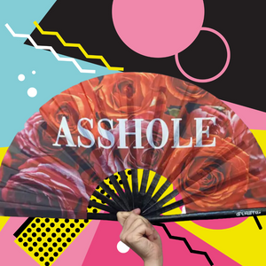 SASSY FANS